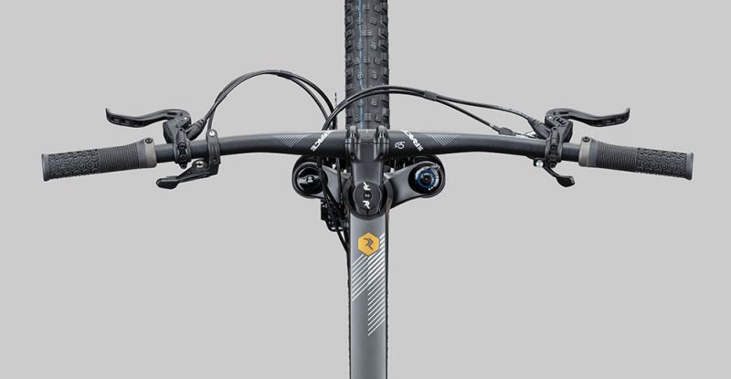 Radon Jealous AL 8.0 HD – Bild 3