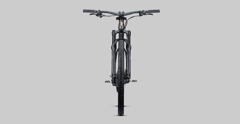 Radon Jealous AL 8.0 HD – Bild 6