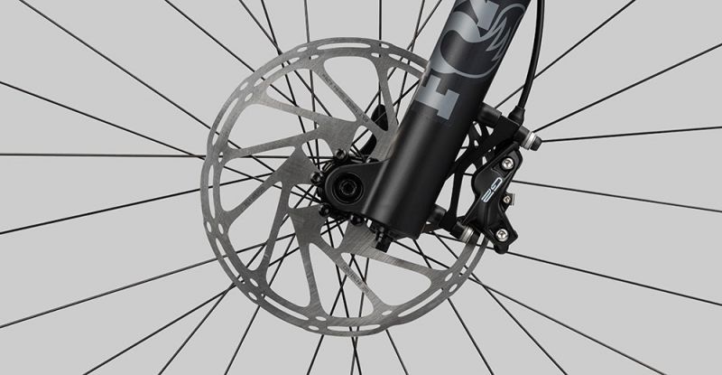 Radon Slide Trail 10.0 MS – Bild 5