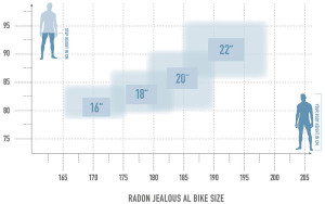 Radon Jealous AL 9.0 MS – Bild 2