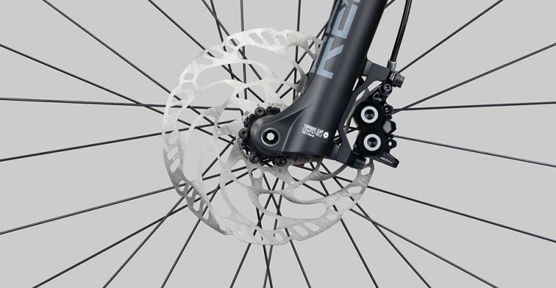 Radon Jealous AL 9.0 MS – Bild 9