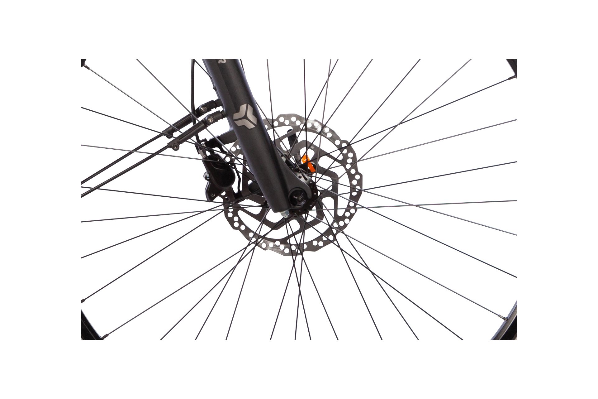 Carver Route E.430 Diamant – Bild 5